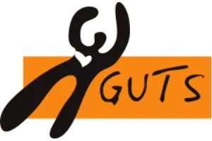 Stiftelsen Guts